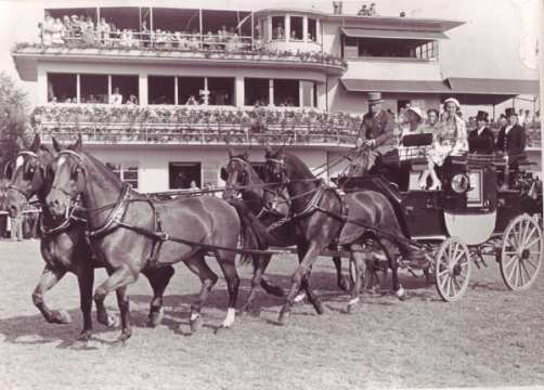 1965 Four-in-hand in front of the judge's house. Presentation of the teams, elegant horses, good harnesses, beautiful old carriages and classy presentation were especially valued. Since 1988, the "presentation" has been deleted from the FEI regulations.