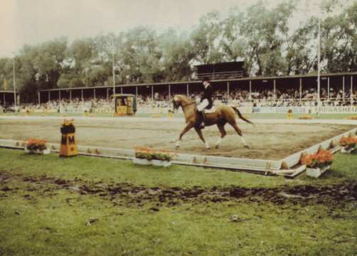 1980 Tubular steel stands in the dressage stadium had  replaced the wooden benches of the 1960s. But it became quite comfortable when plastic seats were added in 1979. 