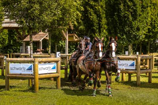 Prize of schwartz Group  Marathon driving competition for four-in-hand drivers. c) CHIO Aachen/Andreas Steindl