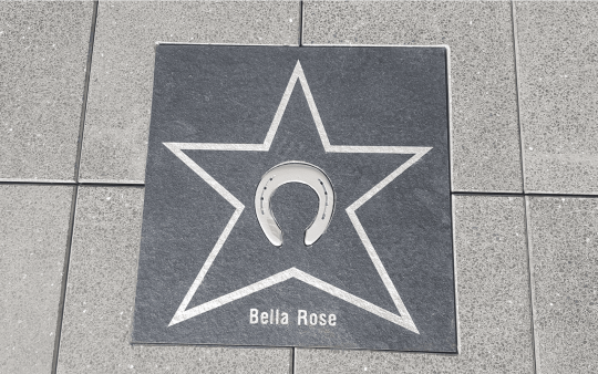 Bella Rose_Walkoffame