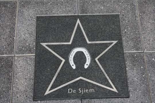 De Sjiem