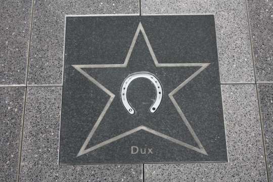 Dux