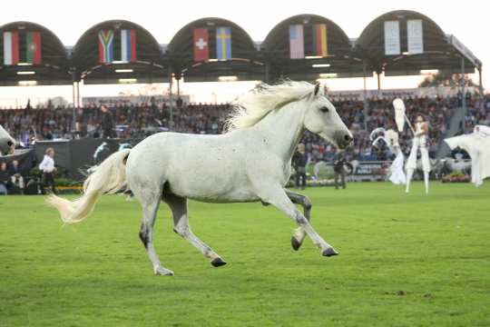 Opening Ceremony at the CHIO Aachen. Photo: CHIO Aachen/Michael Strauch