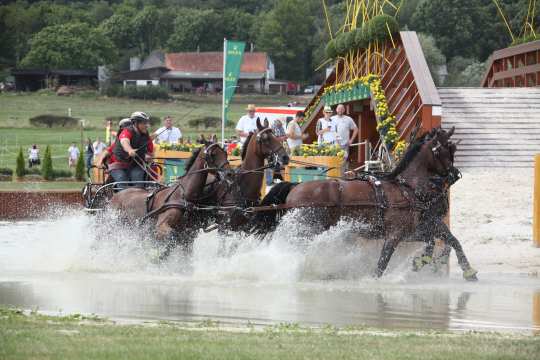 Prize of schwartz Group, Marathon competition for four-in-hand drivers. Photo: CHIO Aachen/Michael Strauch