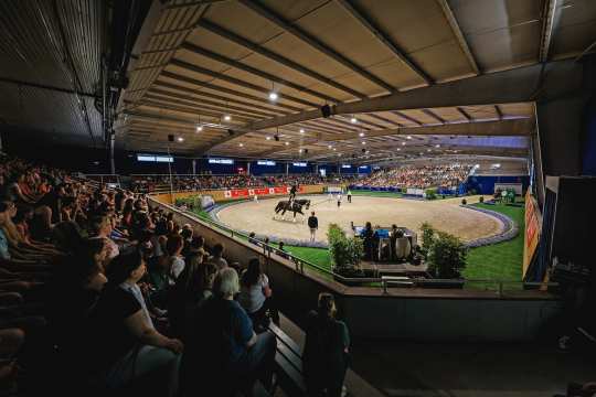 Vaulting in the Albert Vahle Hall at the CHIO Aachen 2023. (c) CHIO Aachen/Andreas Steindl
