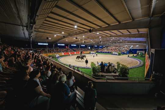 Voltigieren in der Albert-Vahle-Halle beim CHIO Aachen 2023. (c) CHIO Aachen/Andreas Steindl