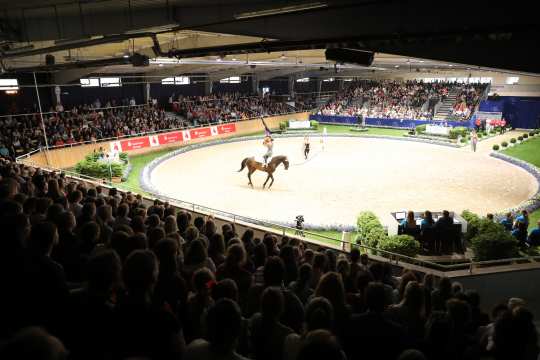 Vaulting: Prize of Sparkasse, Nations' Cup. Photo: CHIO Aachen/Michael Strauch