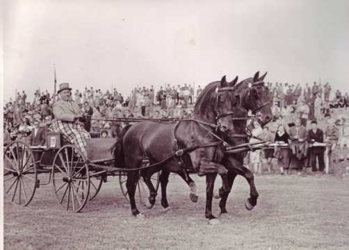 1966 Single, double and multiple carriage driving has a long tradition at the CHIO Aachen. In the past, up to 25 % of the competitions were made up of various types of carriage tests. 