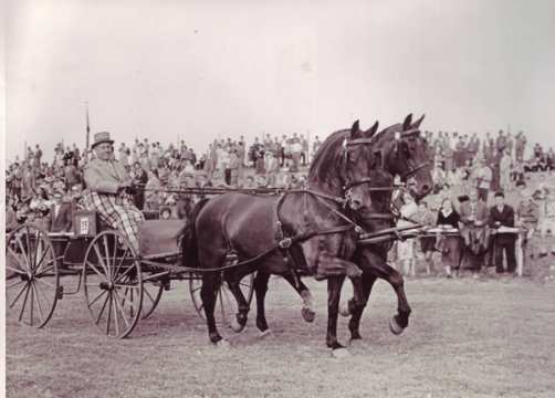 1966 Ein-, Zwei- und Mehrspännerfahren hat beim CHIO Aachen eine lange Tradition. Gespannprüfungen verschiedenster Art machten früher bis zu 25 % des Prüfungsangebotes aus. 