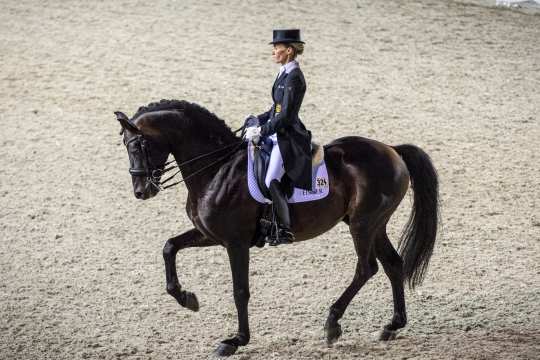 Das Bild zeigt Helen Langehanenberg im Sattel von Damsey FRH beim CHIO Aachen 2017. (Foto: CHIO Aachen/ Arnd Bronkhorst).