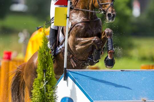 The photo shows Sandra Auffarth riding Opgun Louvo in the DHL Prize at the CHIO Aachen in 2017.  (Photo: CHIO Aachen/Arnd Bronkhorst). 