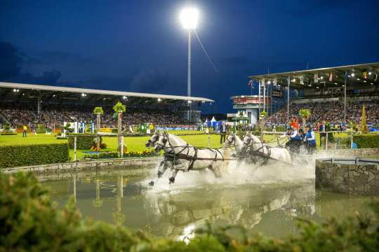 Spektakulär: Der CHIO-Cup am Samstagabend im Hauptstadion. Foto: CHIO Aachen/ Arnd Bronkhorst