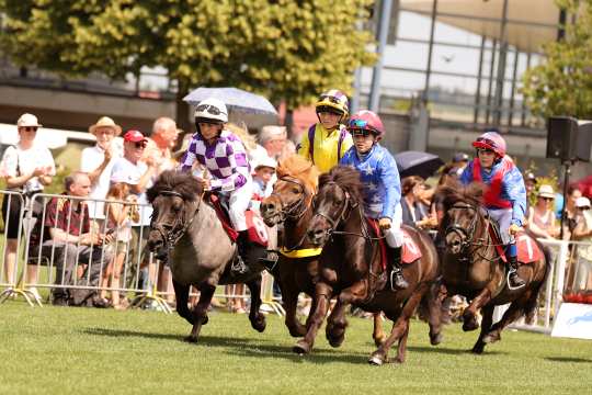 Das Foto zeigt die Grand National Shetland Ponys mit ihren Mini-Jockeys. Foto: CHIO Aachen/Andreas Steindl