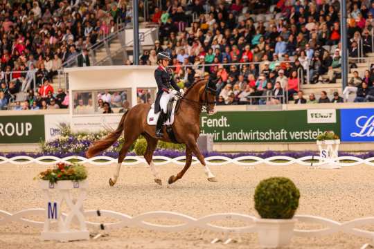Charlotte Dujardin mit ihrem Fuchs Imhotep im Dressurviereck. Im Hintergrund zu sehen ein Richterhäuschen und das Publikum auf der Tribüne im Dressurstadion.