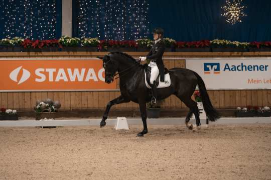 She is the title defender of the Juniors and double European Champion: Allegra Schmitz-Morkramer is competing at the Aachen Dressage Youngstars. Photo: Aachen Youngstars/Jil Haak