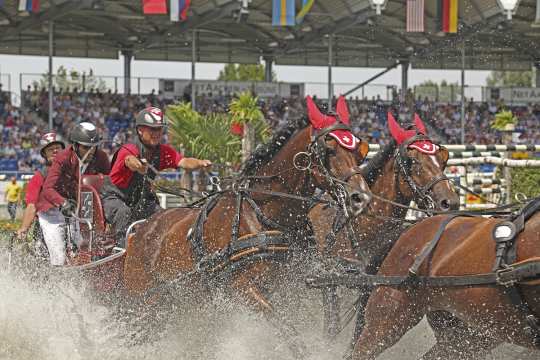 Das Bild ((c) CHIO Aachen/ Michael Strauch) kann honorarfrei verwendet werden. Es zeigt den Schweizer Vierspännerfahrer Werner Ulrich, der beim CHIO Aachen den katarischen Springreiter Hamad Ali Mohamed Al Attiyah als „Passagier“ an Bord hat.