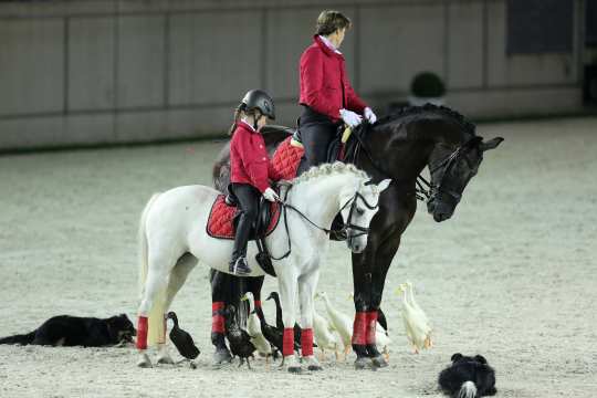 Anne Krüger und ihre Laufenten beim CHIO Aachen 2014 (Foto: CHIO Aachen/ Andreas Steindl)