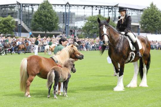 Small meets big at Soers Sunday