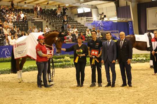 Prize of Spraksse Freestyle Test to Music Male Photo: CHIO Aachen / Michael Strauch