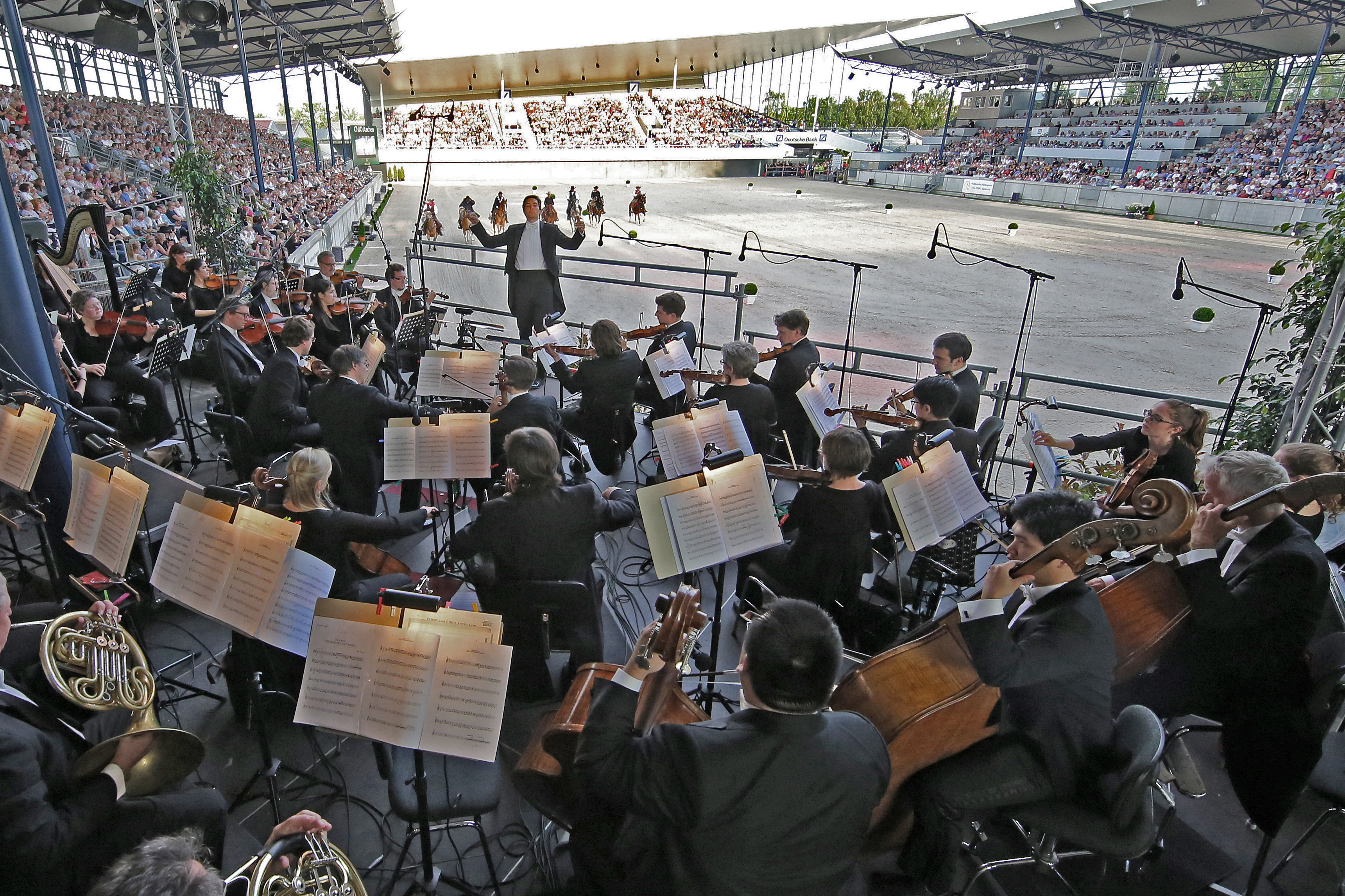 Pferd In Konzert