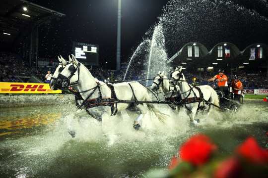 Rasante Szenen beim Lavazza-Cup. Foto: CHIO Aachen/ Michael Strauch