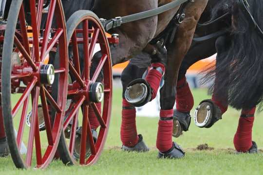 CHIO Aachen 2017 (c) Andreas Steindl