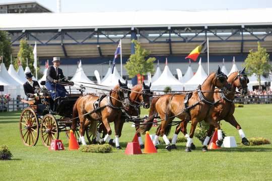 CHIO Aachen 2018 (c) Andreas Steindl