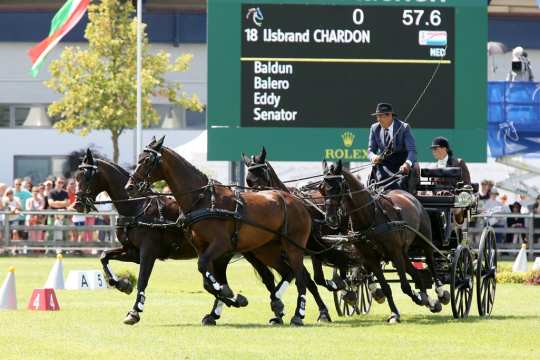 CHIO Aachen 2018 (c) Andreas Steindl