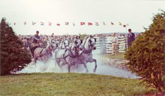 1973 fanden die Fahrprüfungen noch im Hauptstadion statt, erst 1984 entstand das Fahrstadion. Foto: CHIO Aachen Archiv