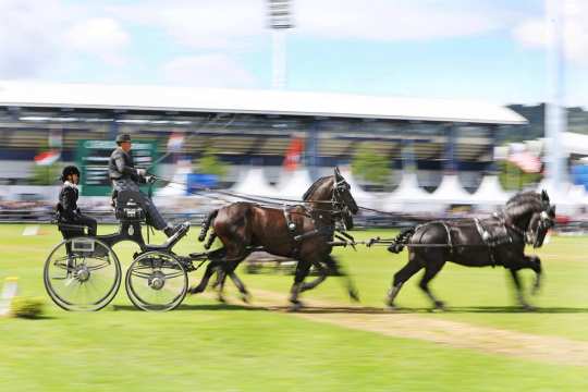 Vierspänner beim CHIO Aachen. Foto: Andreas Steindl