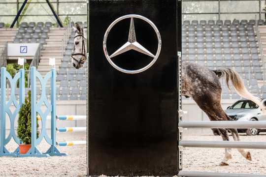 Springtraining mit Otto Becker beim 2. CHIO Aachen-Bloggertreffen. Foto: @fs_bildpoesie/ Franziska Sack