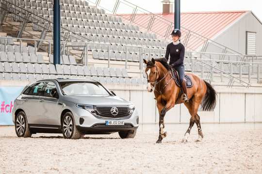 Springtraining mit Otto Becker beim 2. CHIO Aachen-Bloggertreffen. Foto: @fs_bildpoesie/ Franziska Sack