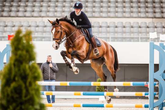 Springtraining mit Otto Becker beim 2. CHIO Aachen-Bloggertreffen. Foto: @fs_bildpoesie/ Franziska Sack