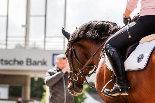 Springtraining mit Otto Becker beim 2. CHIO Aachen-Bloggertreffen. Foto: @fs_bildpoesie/ Franziska Sack