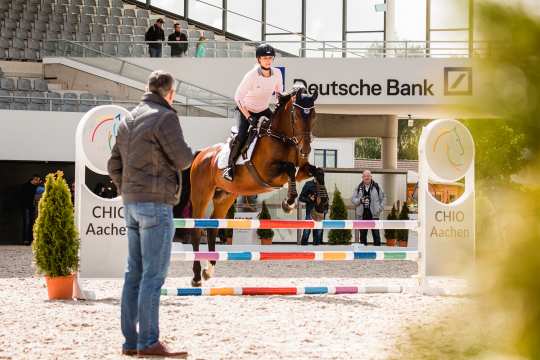 Springtraining mit Otto Becker beim 2. CHIO Aachen-Bloggertreffen. Foto: @fs_bildpoesie/ Franziska Sack