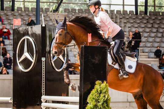 Springtraining mit Otto Becker beim 2. CHIO Aachen-Bloggertreffen. Foto: @fs_bildpoesie/ Franziska Sack