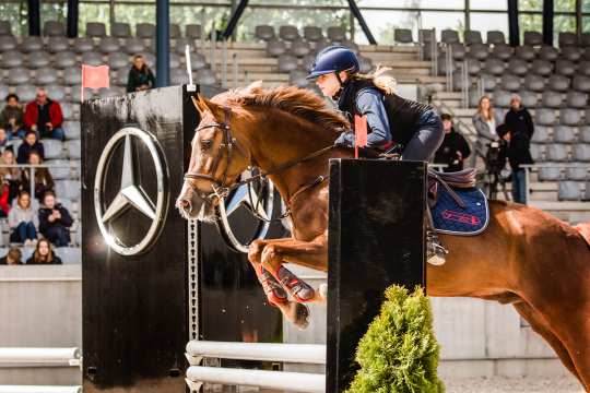 Springtraining mit Otto Becker beim 2. CHIO Aachen-Bloggertreffen. Foto: @fs_bildpoesie/ Franziska Sack