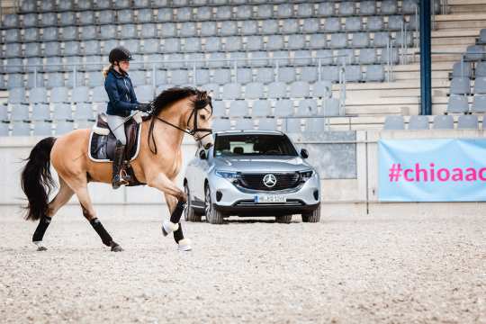 Dressur-Training mit Fabienne Müller-Lütkemeier. Foto: @fs_bildpoesie/ Franziska Sack