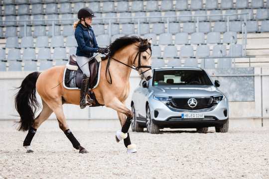 Dressur-Training mit Fabienne Müller-Lütkemeier. Foto: @fs_bildpoesie/ Franziska Sack