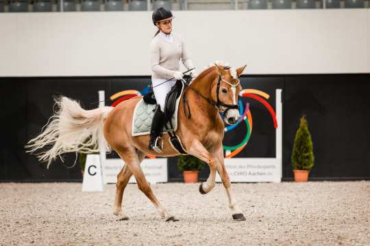 Dressur-Training mit Fabienne Müller-Lütkemeier. Foto: @fs_bildpoesie/ Franziska Sack