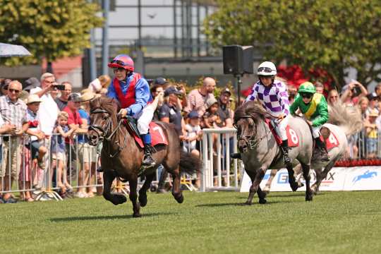 CHIO Aachen 2023 // Soerser Sonntag