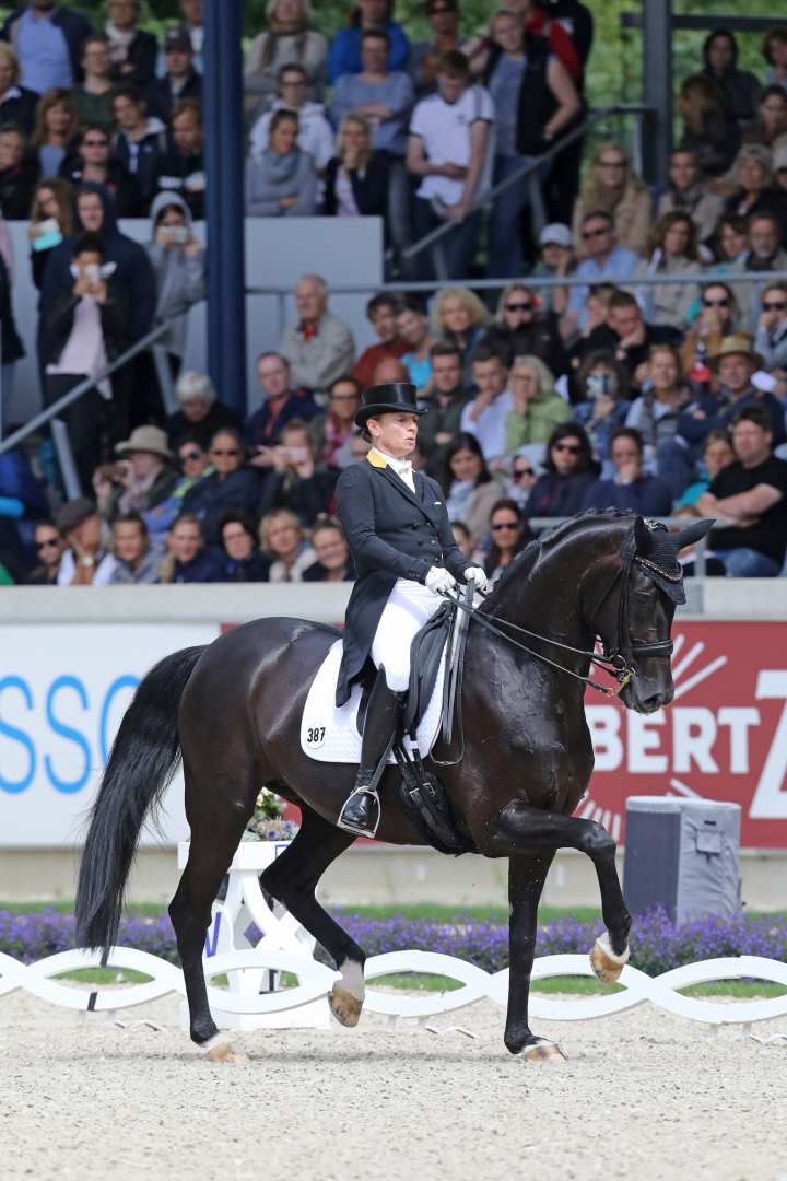 CHIO Aachen 2017