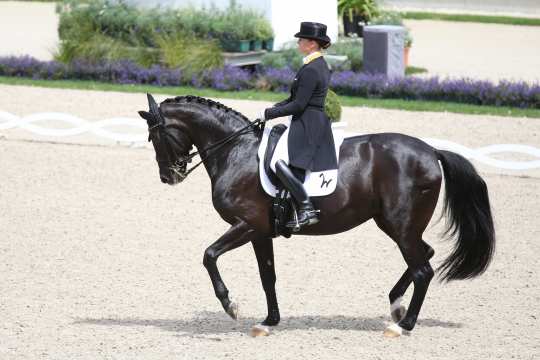 CHIO Aachen 2017