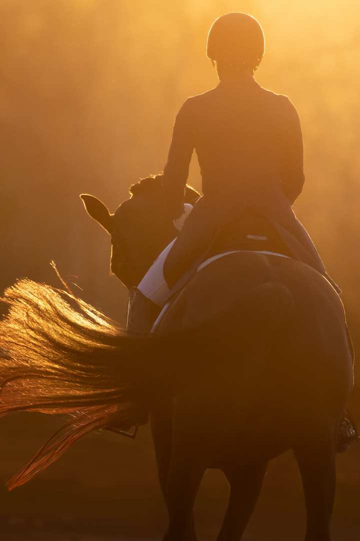 The photo shows the winning motif of the Silver Camera 2019, taken by the US-American Terri Miller.