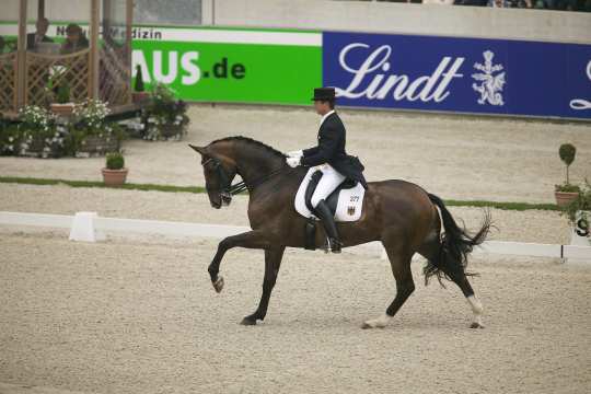 Meggle´s Weltall VA genoss seinen Lebensabend im Stall Meggle mit allen Freiheiten, die dieses Ausnahmepferd verdient hatte. Der Wallach, der 2004 in Athen mit Martin Schaudt Mannschafts-Olympiasieger wurde, verstarb 2018 im Alter von 24 Jahren. 