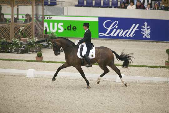 Meggle´s Weltall VA genoss seinen Lebensabend im Stall Meggle mit allen Freiheiten, die dieses Ausnahmepferd verdient hatte. Der Wallach, der 2004 in Athen mit Martin Schaudt Mannschafts-Olympiasieger wurde, verstarb 2018 im Alter von 24 Jahren.