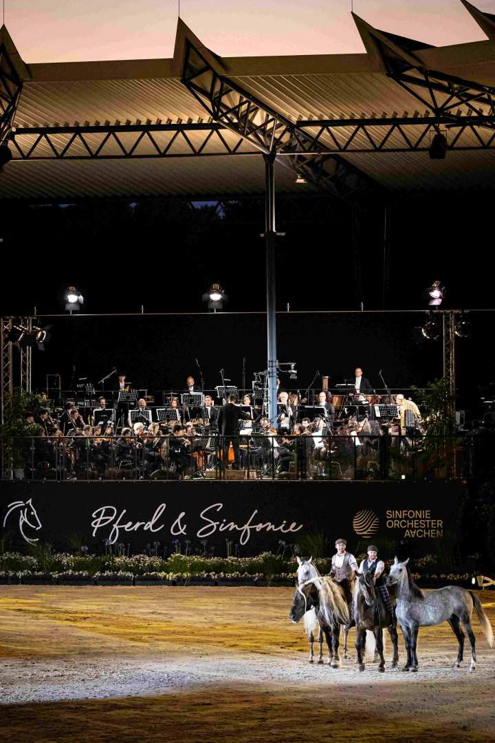 Four white and black horses are standing in the Dressage Stadium at a horse and symphony concert. It is dark, the show lights are on and the orchestra is playing their instruments in the background.