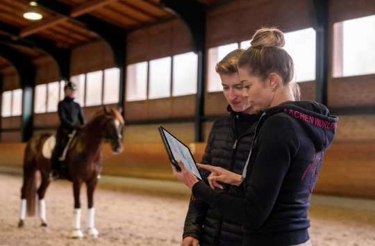 Equestrian Stable Management (Photo: CHIO Aachen CAMPUS / Jil Haak)