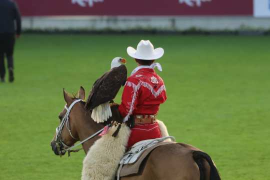 Ein Adler sitzt auf dem Arm eines im Cowboykostüm gekleideten Reiters bei der Eröffnungsfeier.