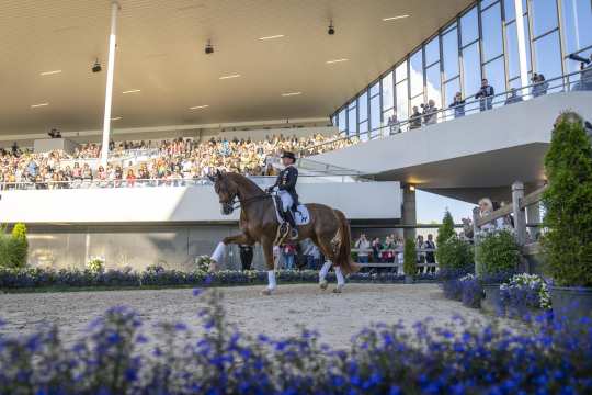 Isabell Werth and her chestnut mare Bella Rose at the entrance to the Dressage Stadium, which is lined with blue flowers. In the background are the full stands of the east grandstand on the left and photographers who have positioned themselves on and under the bridge of the entrance on the right.